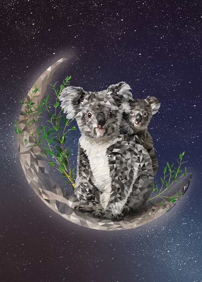 Koala