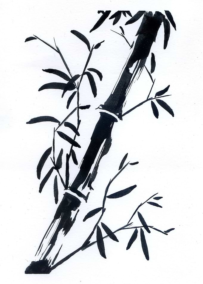 Bamboo Leaves