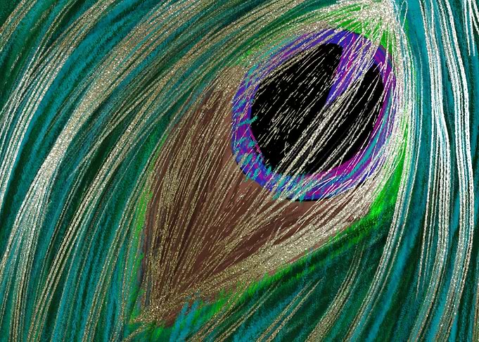 Peacock Feather