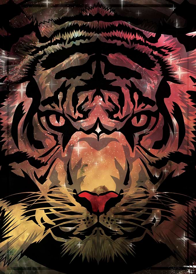 SPIRIT SPACE TIGER