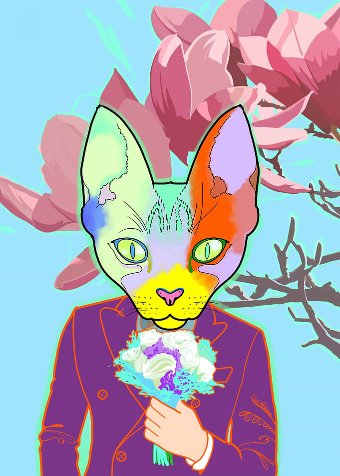 rainbow cat groom