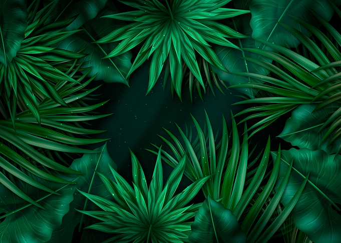 tropical leaves 2