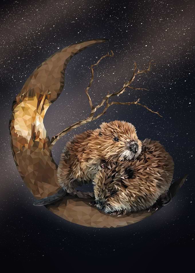 North American beaver
