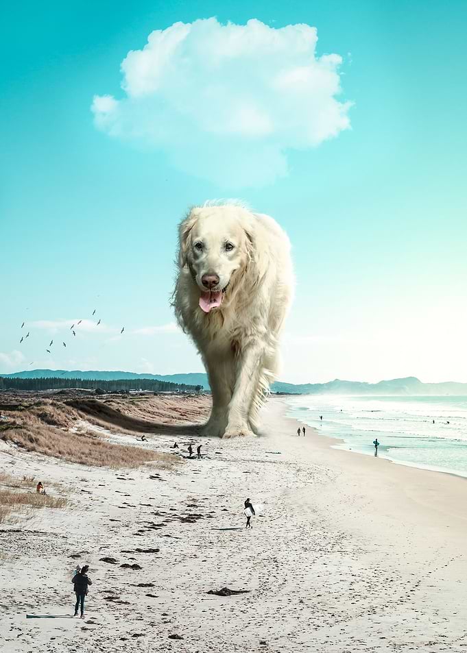 Big Pooch