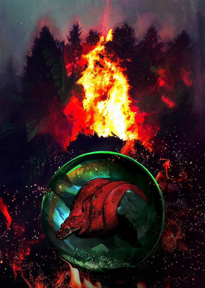 Fire