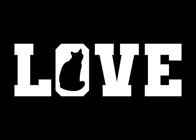 Love Typography Calico Cat