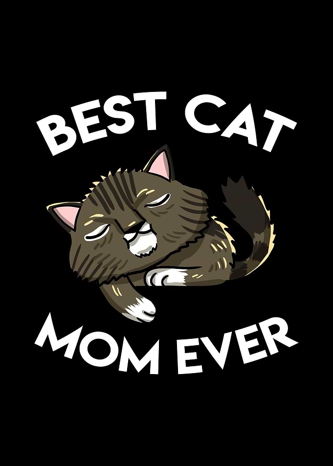Best Maine Coon Cat Mom