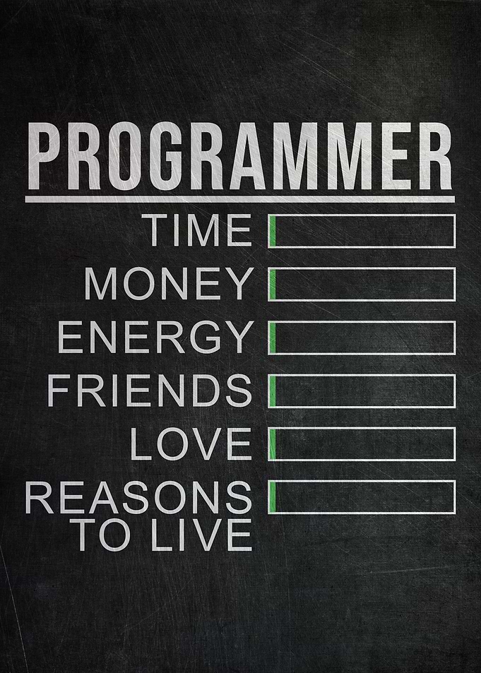 Programmer Stats