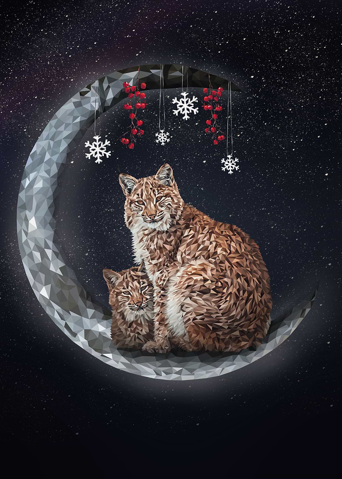 Canada lynx