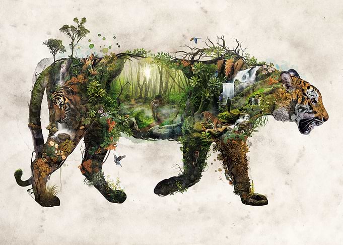 Surreal Tiger