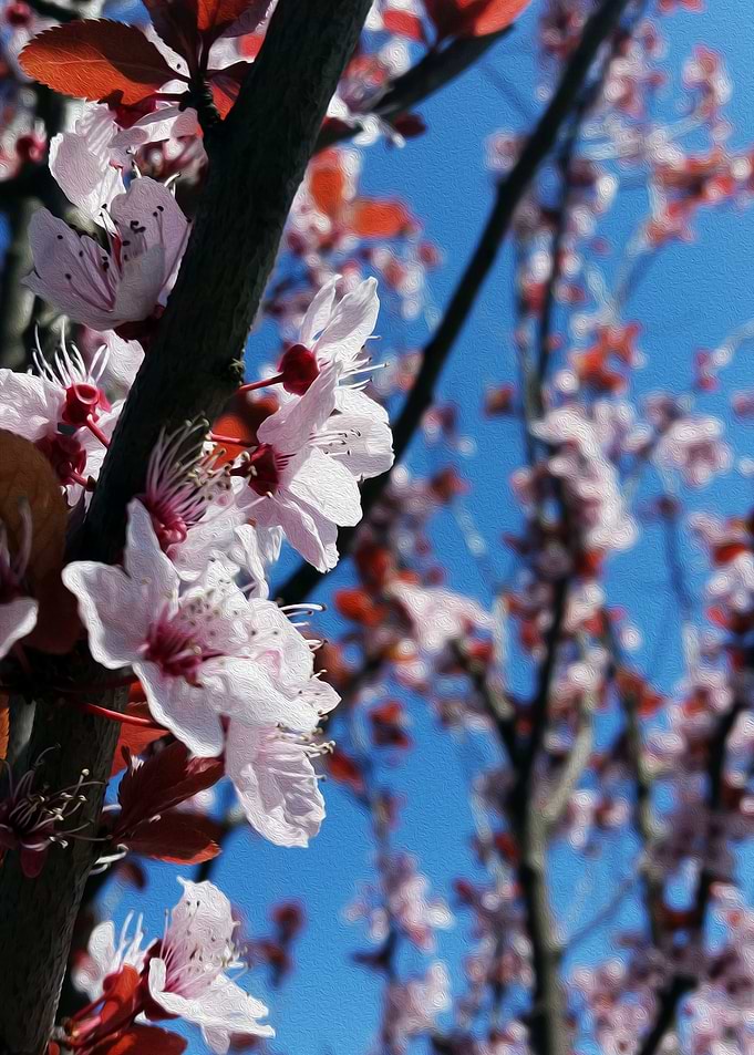 Colors of spring