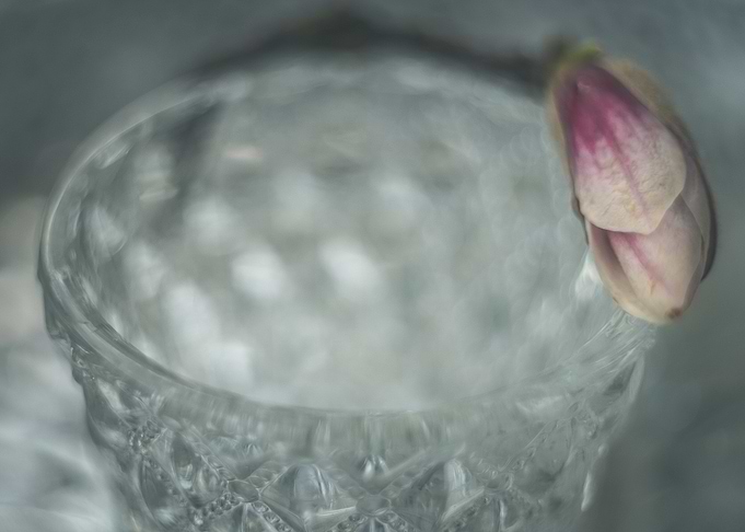 floral composition