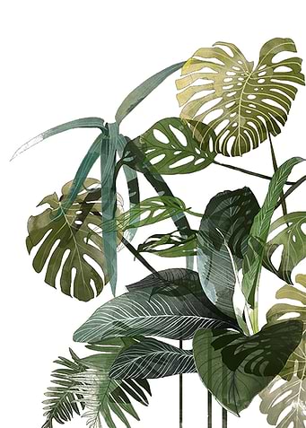 botanical