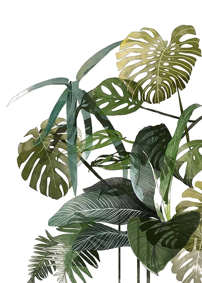 botanical