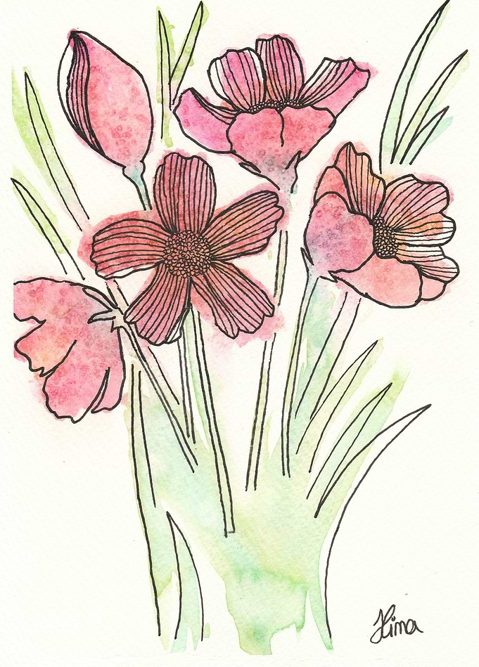 Tulips