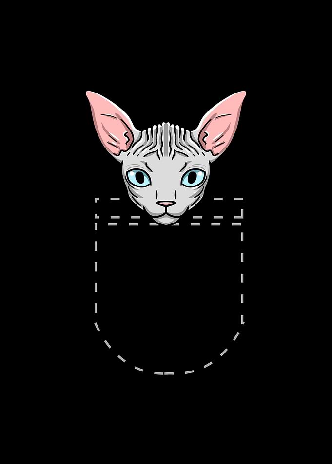 Pocket Sphynx