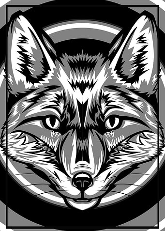 SPIRIT FOX BW