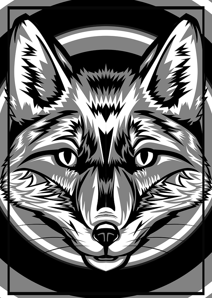 SPIRIT FOX BW