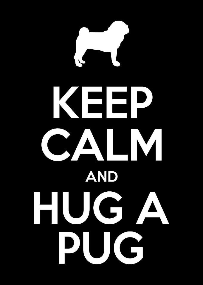Hug a Pug