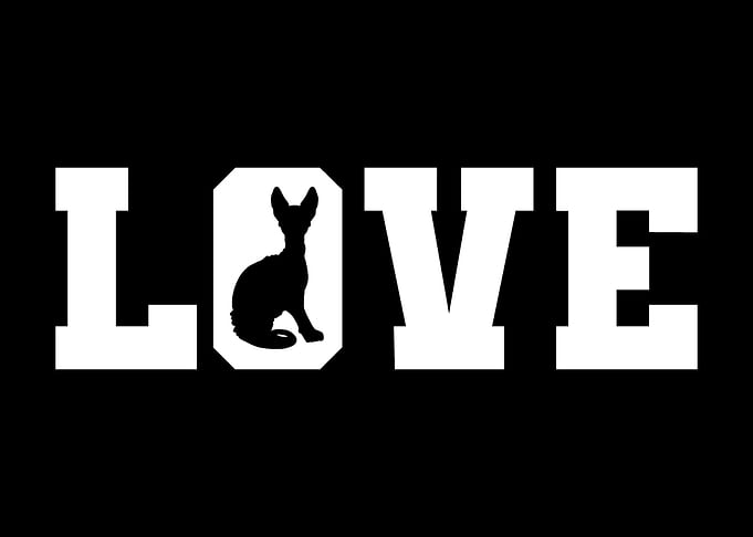 Love Sphynx Silhouette