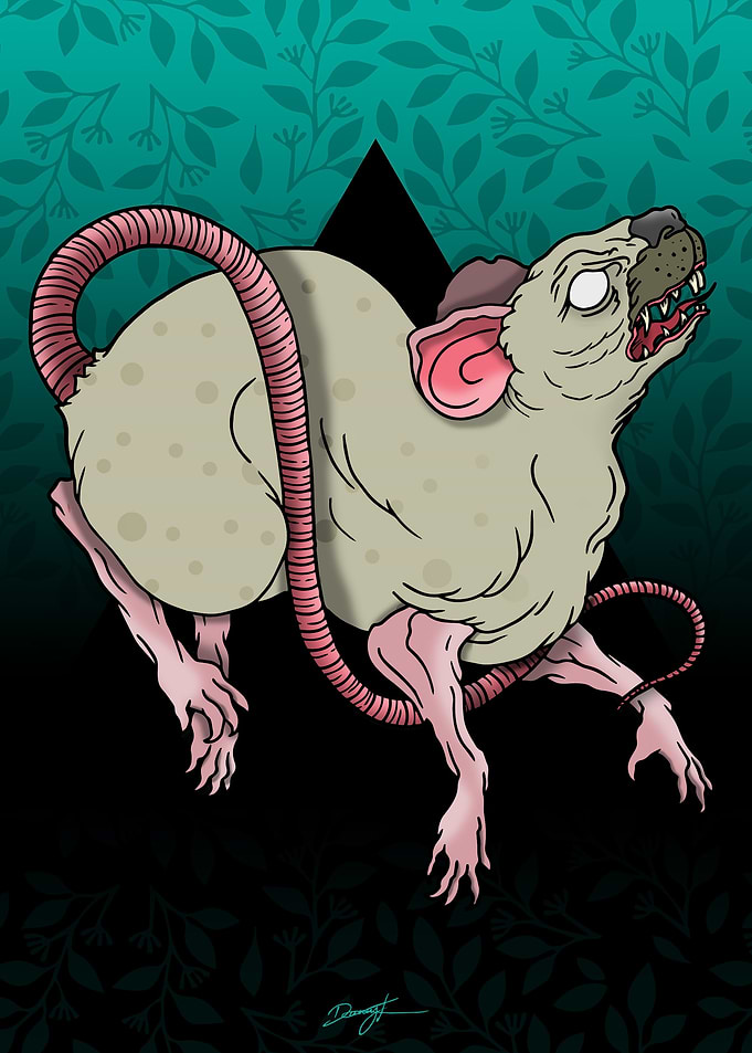 Year of the Rat