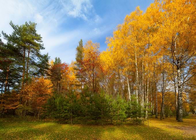 The Autumn View