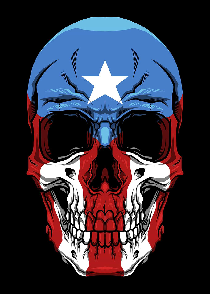 Boricua Skull