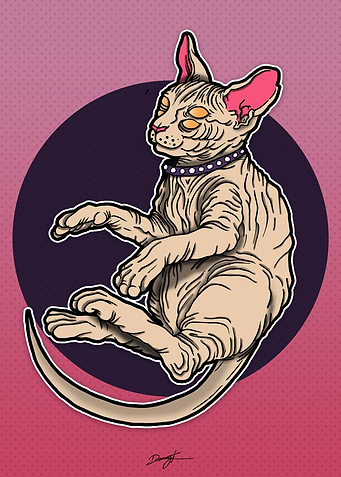 hairless cat