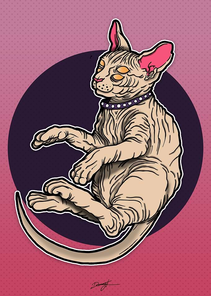 hairless cat