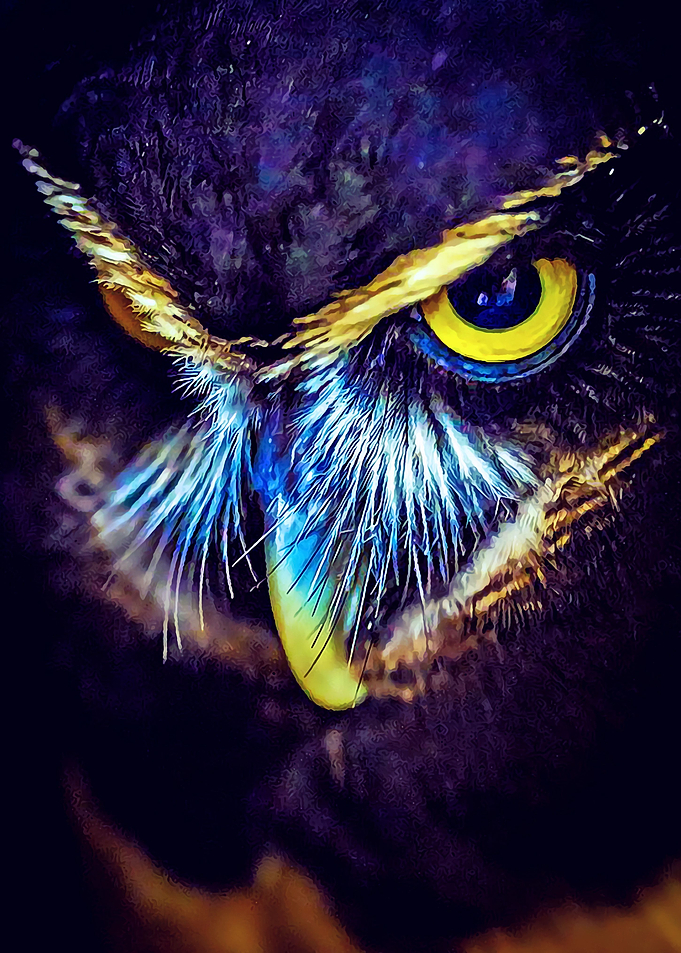 Animal 87