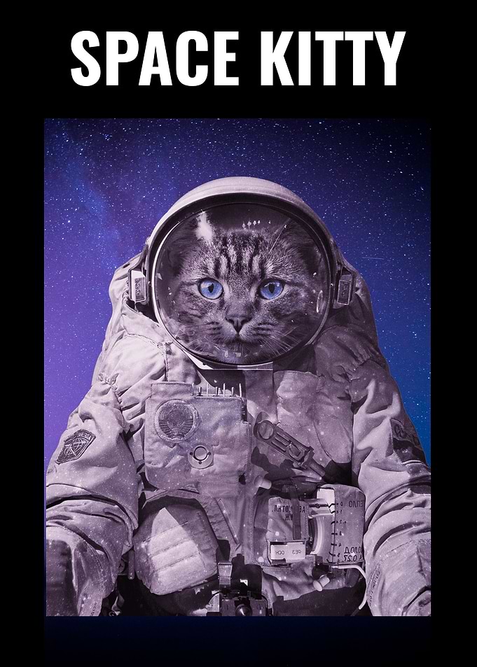 Space Kitty Astronaut