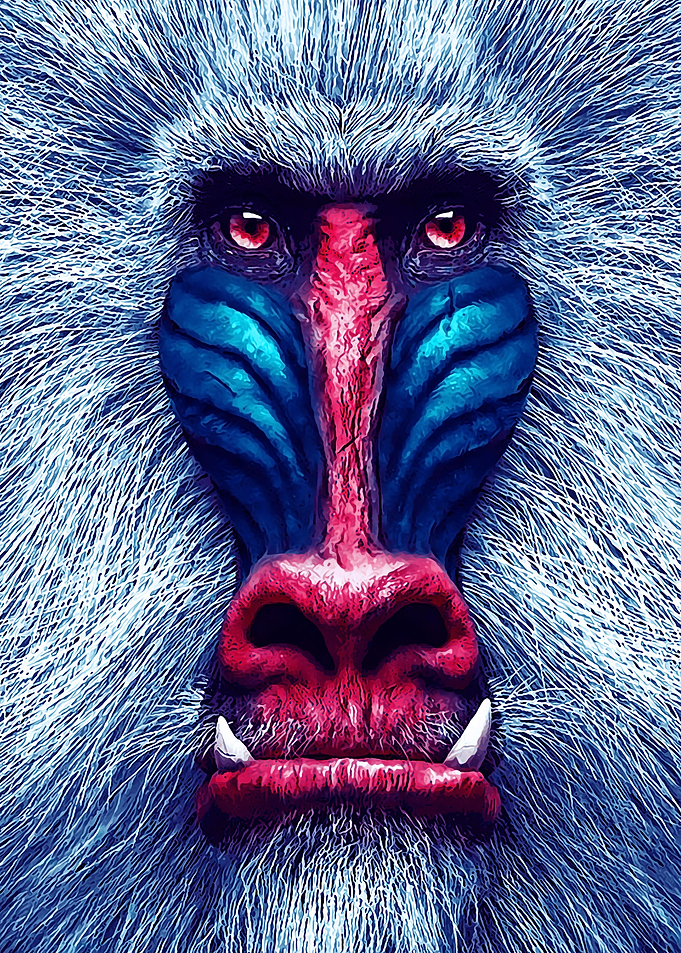 Animal 80