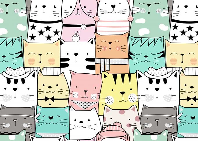 doodle cats
