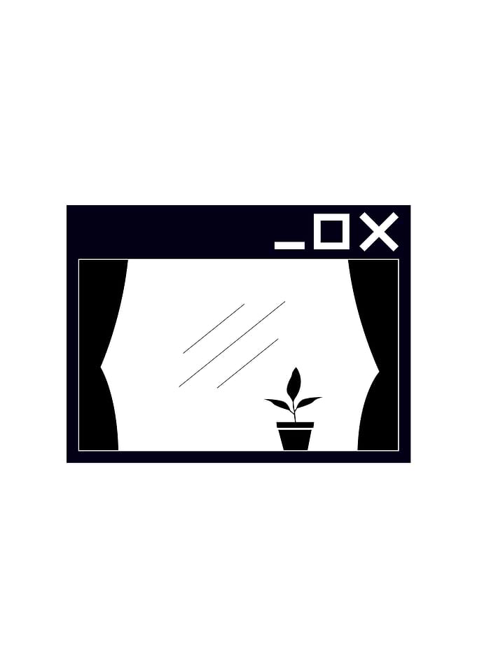 Window