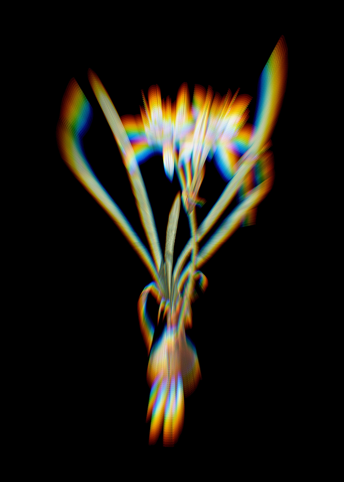 Prism Sea Daffodil