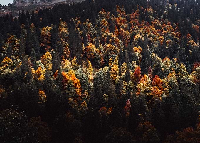 Fall in Switzerland