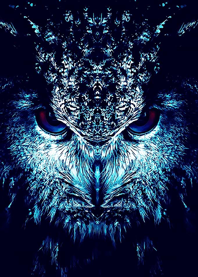 Animal 65
