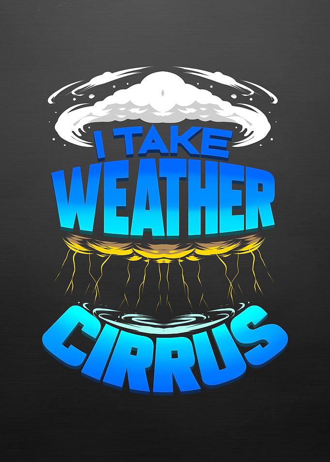 Meterologist Forecaster