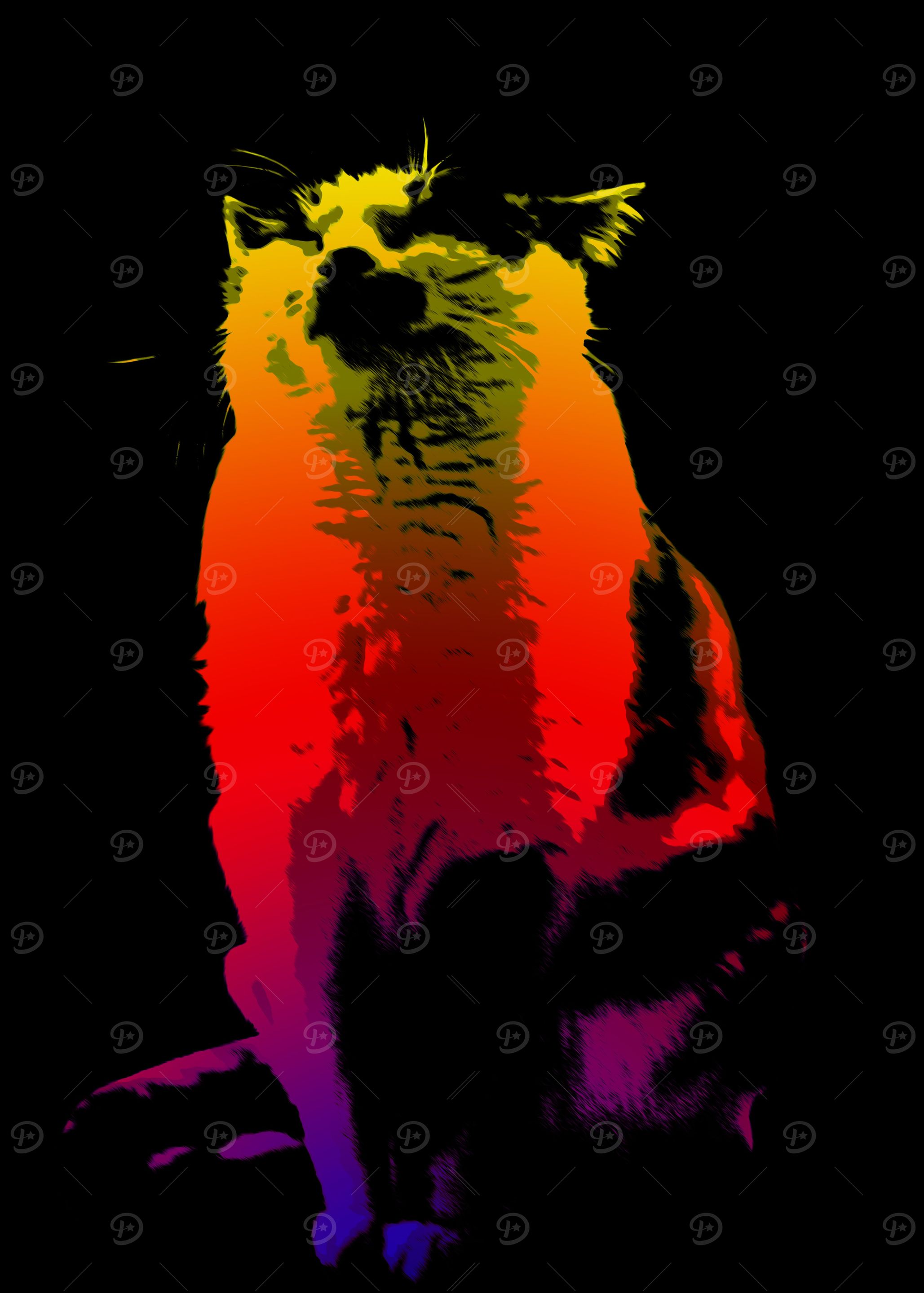 Black Cat