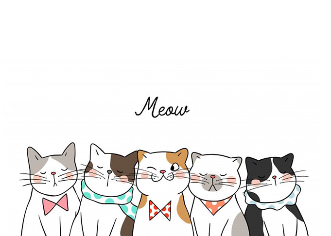 doodle meow