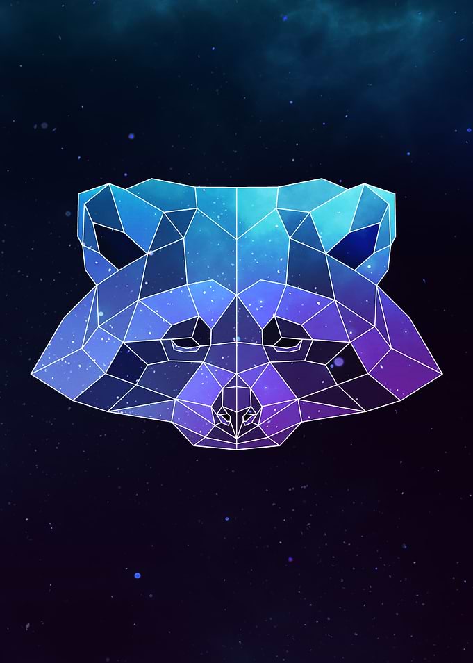Galaxy Raccoon