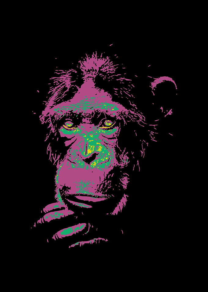 Gorilla V2 Pop Art