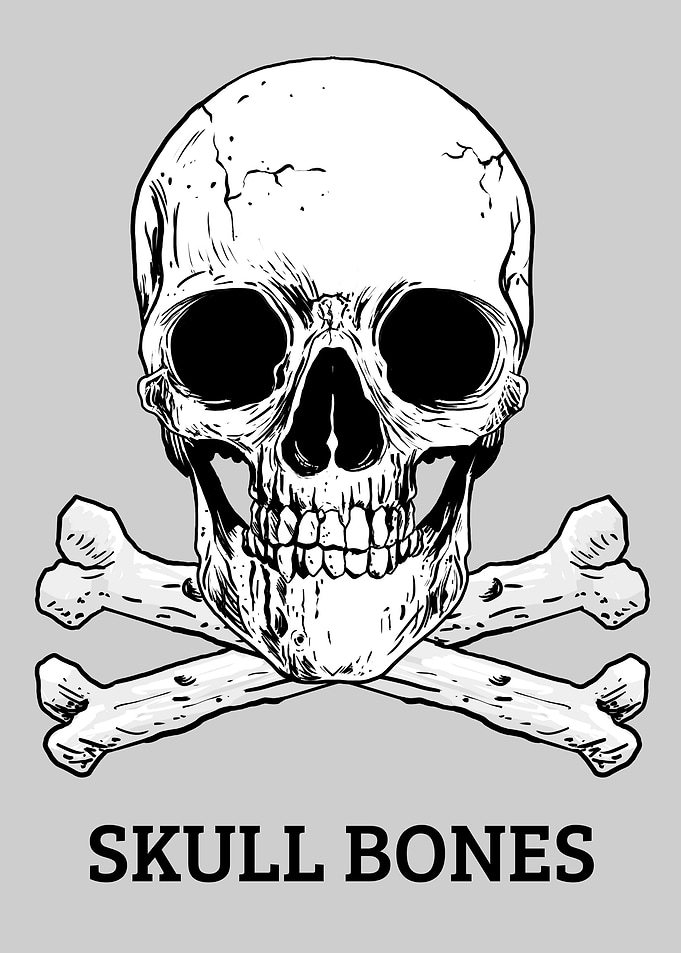 Skull with Bones