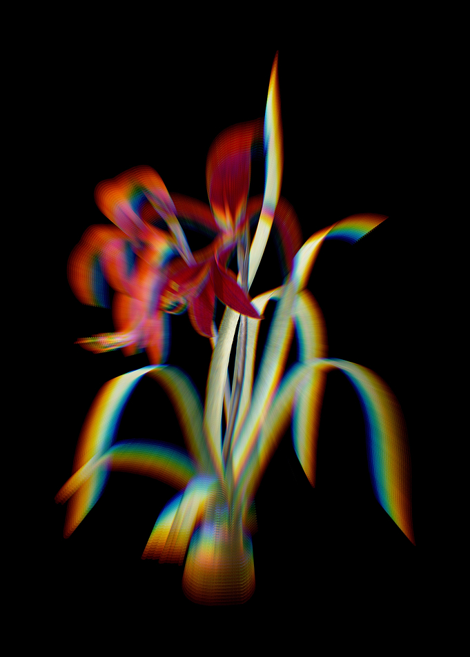 Prism Sprekelia