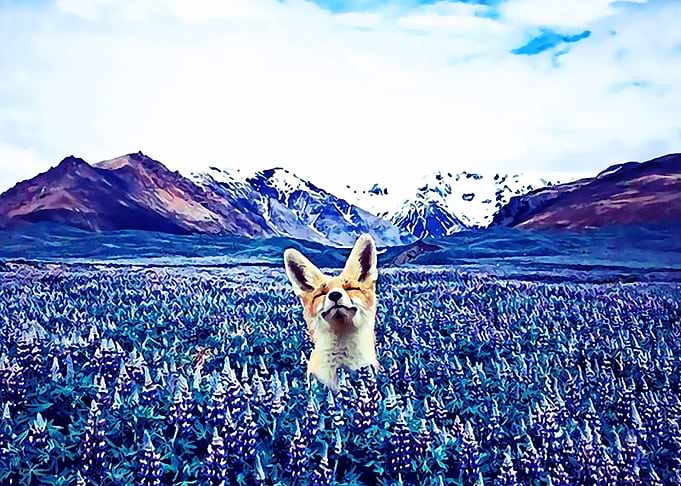 Animal 108