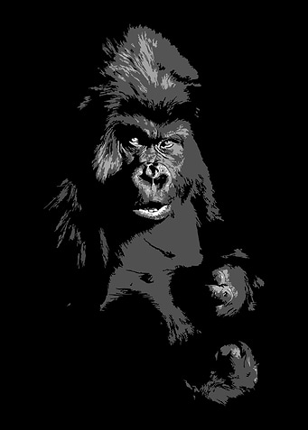 Gorilla V2 black and whit