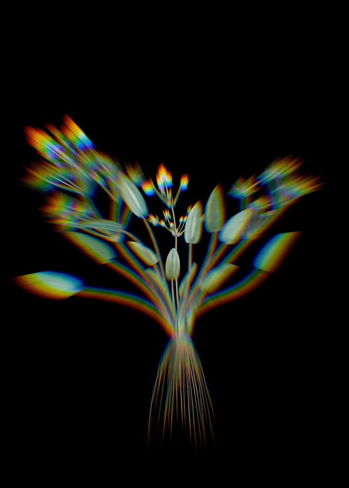 Prism Starfruit