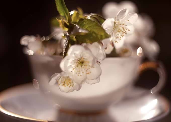 Floral composition