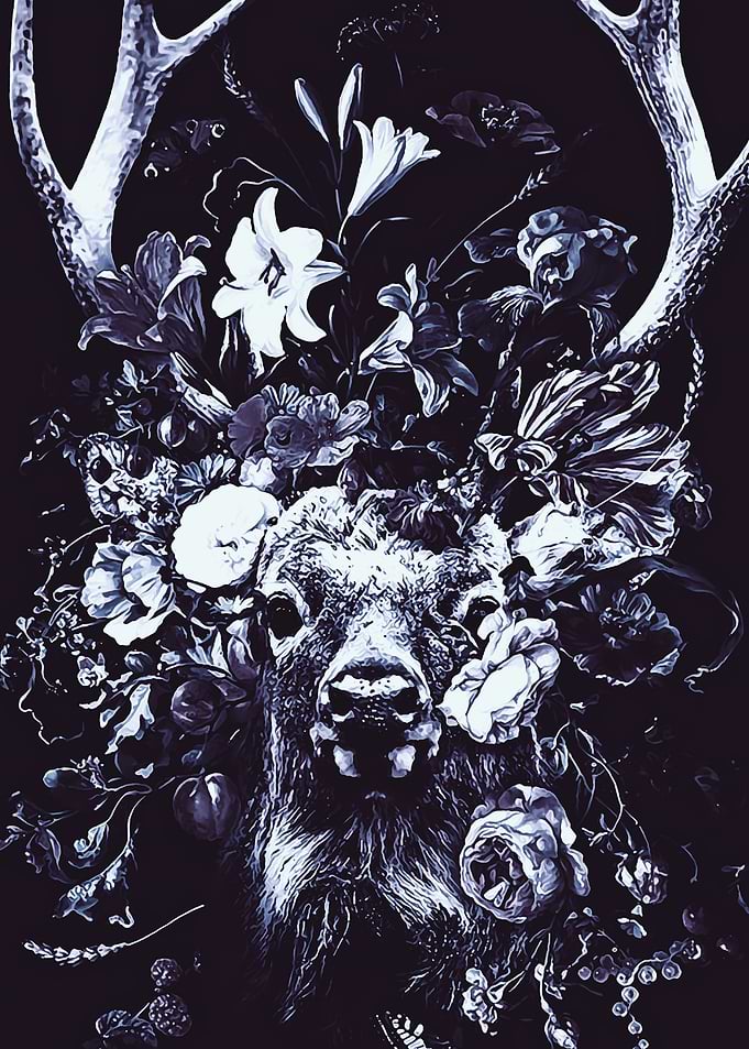 Animal 91