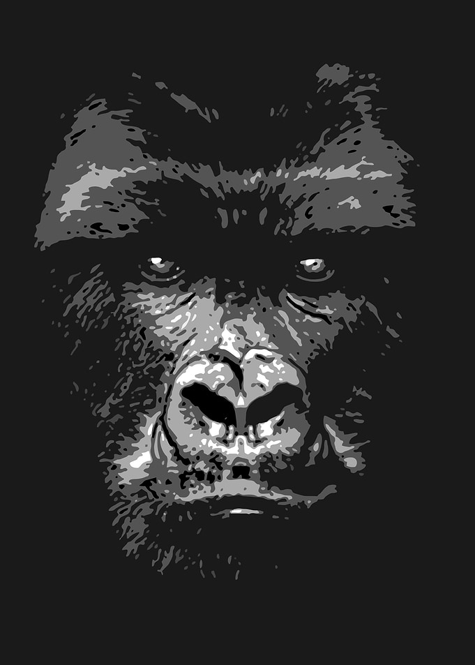 Gorilla V3 black and whit